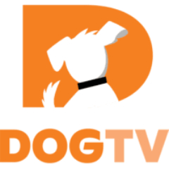Dog Tv