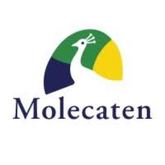 Molecaten NL