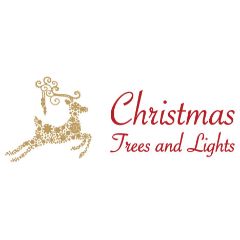 Christmas Trees And Lights