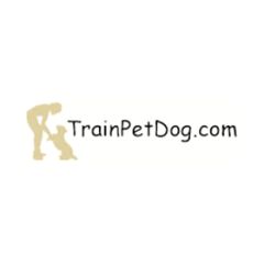 train pet dog
