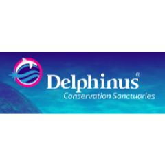 delphinus