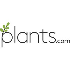 plants