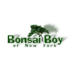 Bonsai Boy Of New York