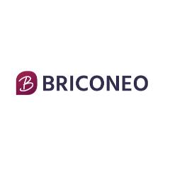 BRICONEO ES