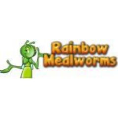 Rainbow Mealworms