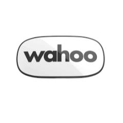 Wahoo Fitness DE