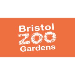 bristol zoo