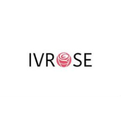 IV Rose