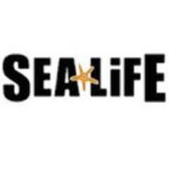 Sea Life